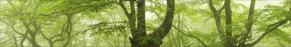 Psychotherapy Cornwall